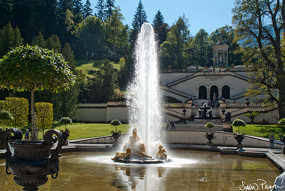 084 DSC09319