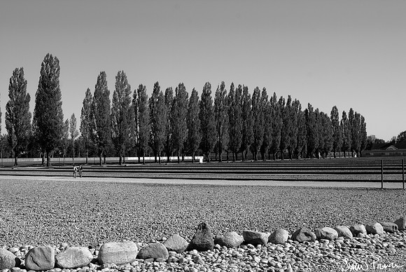 046 DSC09268