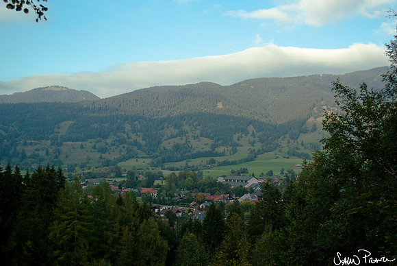 134 DSC09467