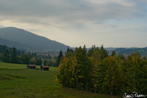 137 DSC09486