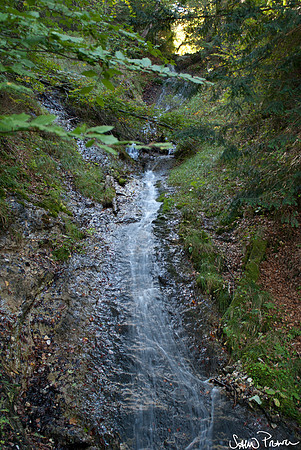 149 DSC09557
