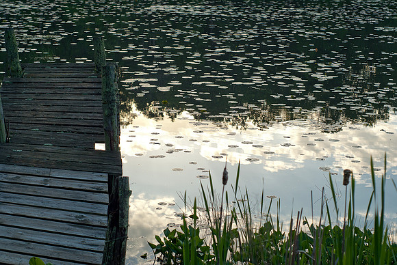 Summertime in the Northwoods