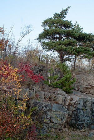 North Shore Still Life