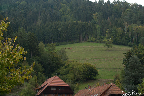 257 DSC09609