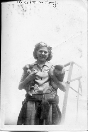Wanda A cat and a dog