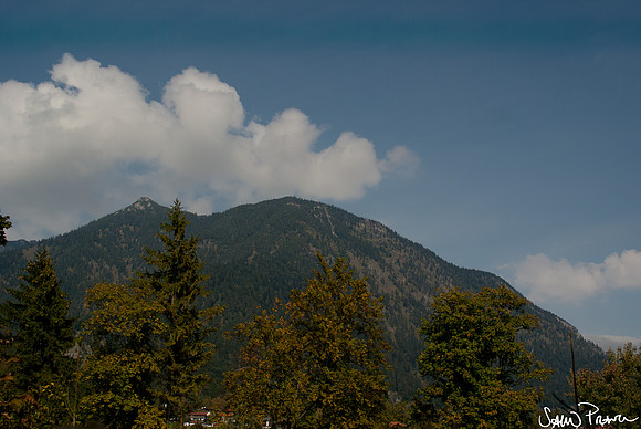 113 DSC09404