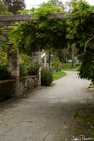 107 DSC09394