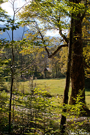 094 DSC09342
