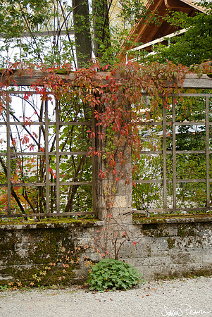 105 DSC09390