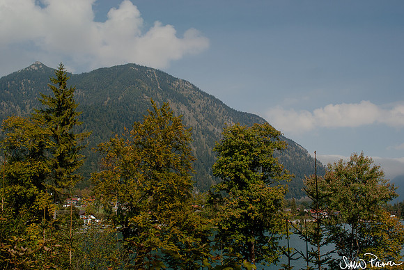 115 DSC09408