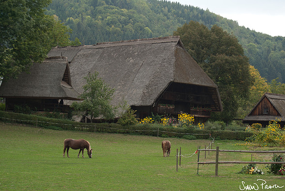 187 DSC09579