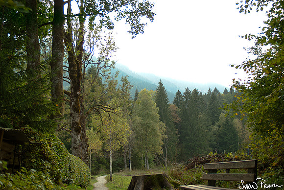 130 DSC09453