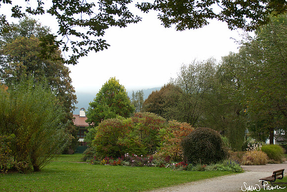 103 DSC09387