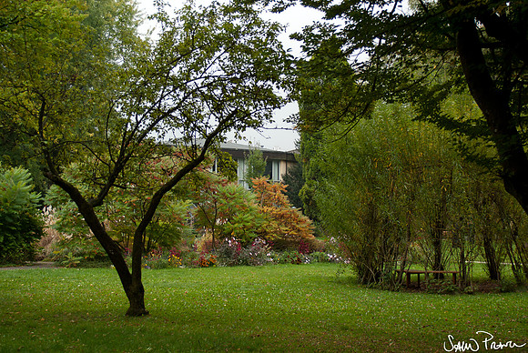099 DSC09364