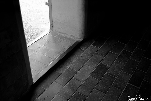 061 DSC09281