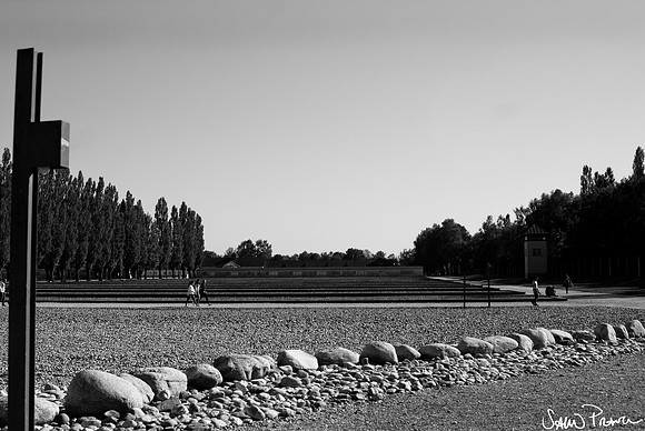 045 DSC09266