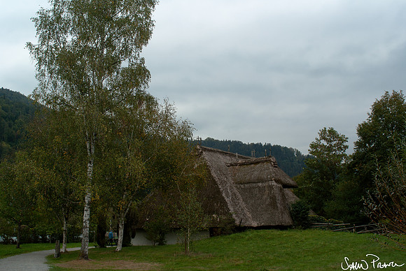 168 DSC09576