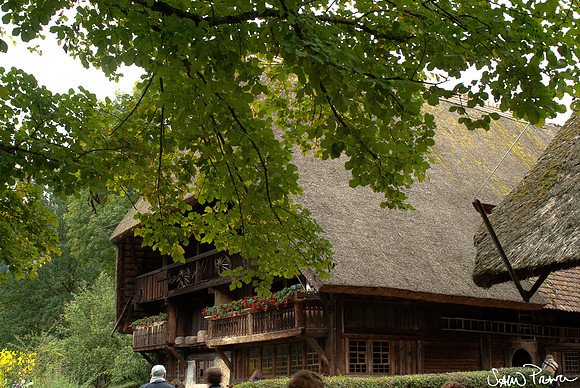 189 DSC09596