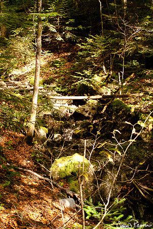 079 DSC09304