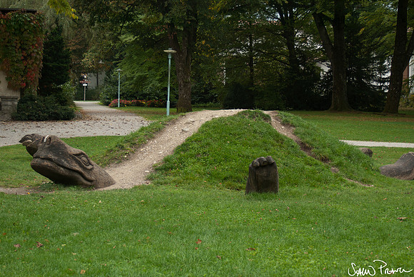 104 DSC09388