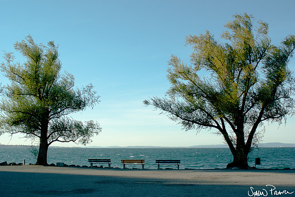 005 DSC09179