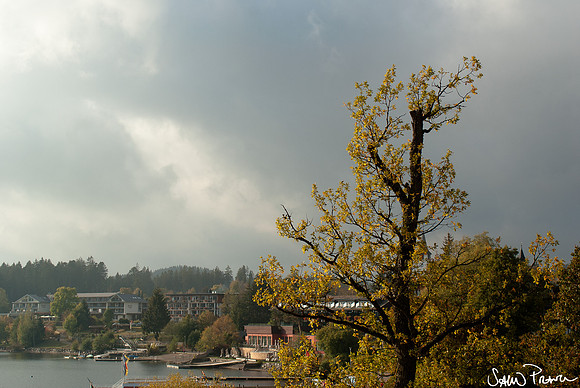 259 DSC09612
