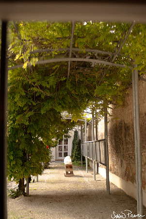 122 DSC09425