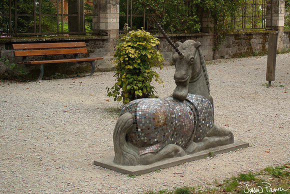 106 DSC09392