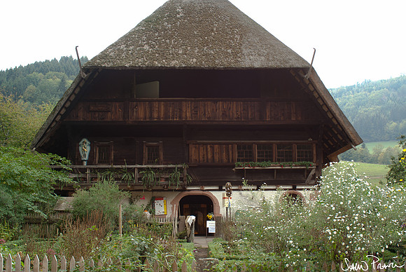 192 DSC09602