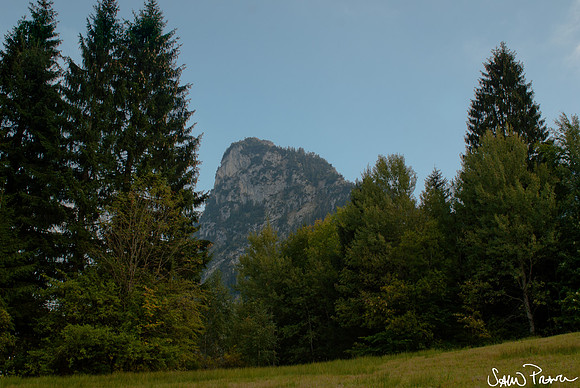 138 DSC09489