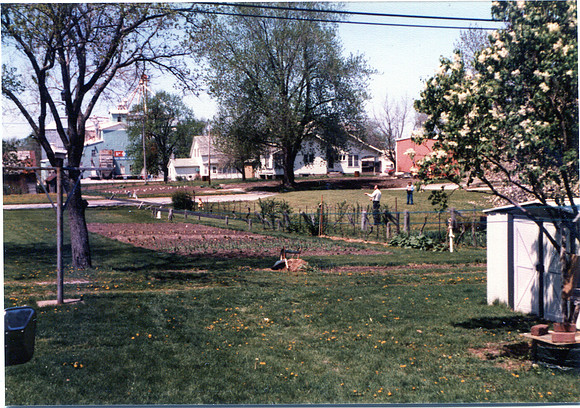 img036