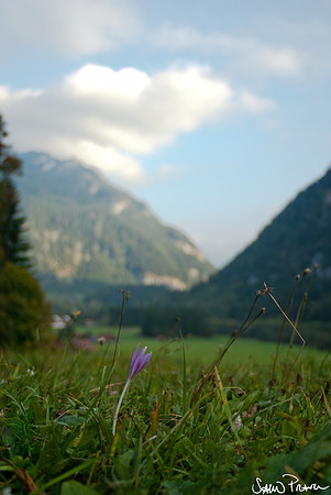 136 DSC09478