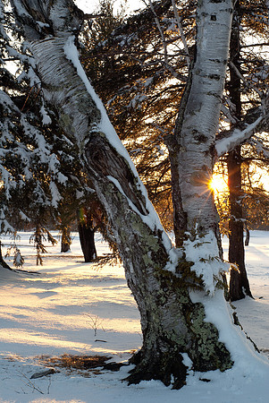 Winter Sunset