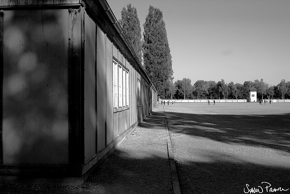 073 DSC09301