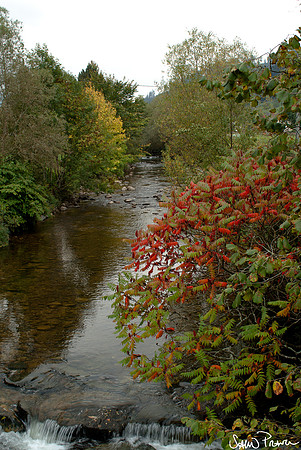 256 DSC09608