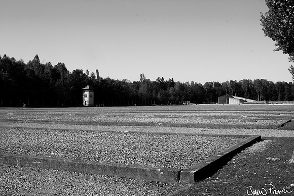 040 DSC09253