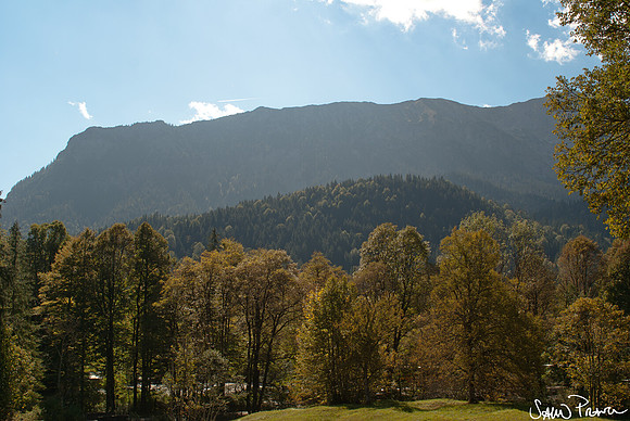 081 DSC09310