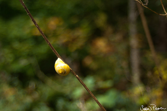 131 DSC09457