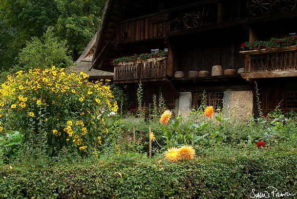 188 DSC09587