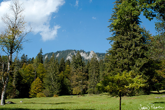 092 DSC09339