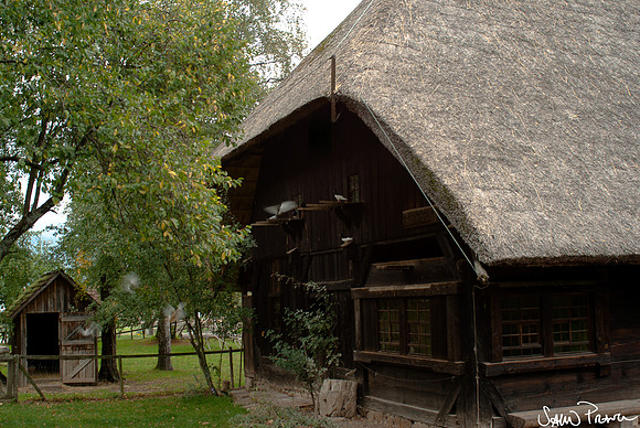 190 DSC09598