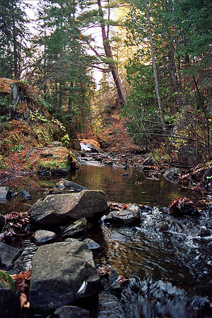tranquil stream