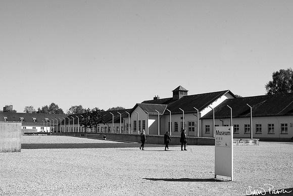 029 DSC09229