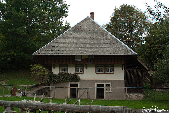 186 DSC09575