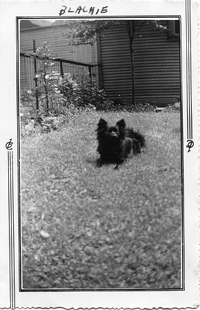 Blackie 2